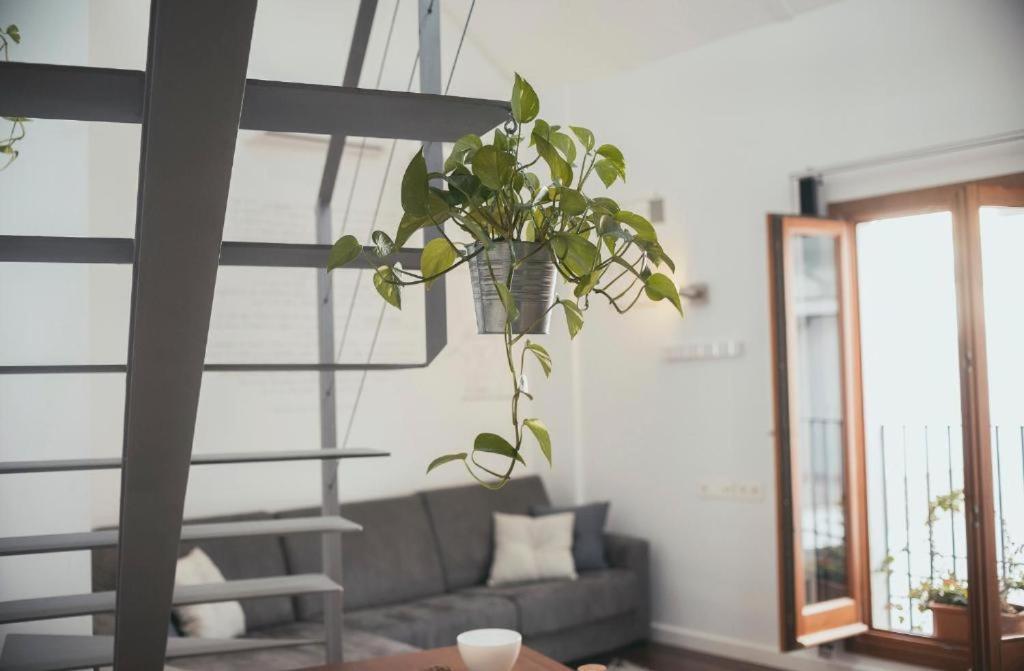 Trigo Homes Кордова Экстерьер фото